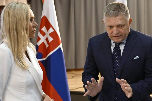 SAS Systemy energopomoci nefunguju a nebudu fungovat tema bezpecnosti udajov obcanov je opat aktualna