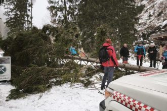 Silny vietor v Ziarskej doline vyvratil strom zasiahol turistov