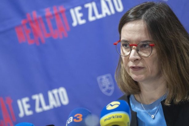 Spravodajkyna PZ RE vyjadrila obavy o ochranu oznamovatelov