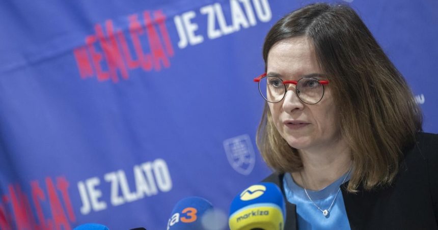 Spravodajkyna PZ RE vyjadrila obavy o ochranu oznamovatelov