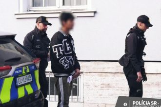 Troji ca mladi kov na pad la a ok rad la muza