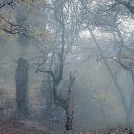 Viackrat vyhorel definitivne ho znicil cisar Napoleon Odvtedy sa iba rozpada