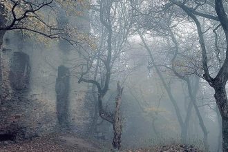 Viackrat vyhorel definitivne ho znicil cisar Napoleon Odvtedy sa iba rozpada