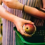 Medzirocna inflacia v Nemecku sa podla predbezneho odhadu v januari zvysila