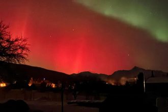 Polarnea ziara sposobila osial zabery z Liptova a Tatier zaplavili internet