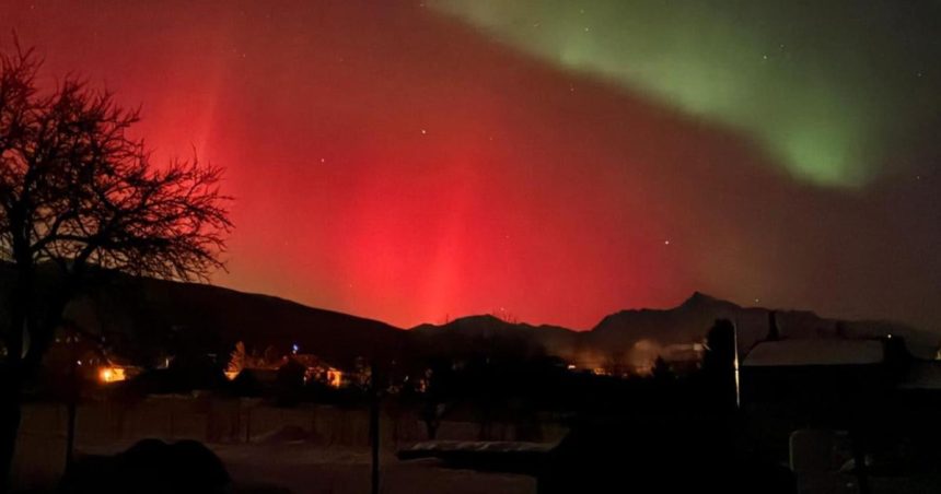 Polarnea ziara sposobila osial zabery z Liptova a Tatier zaplavili internet