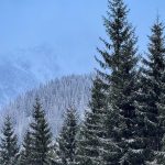 SHMU varuje pred snehovymi zavejmi vichrica na horach