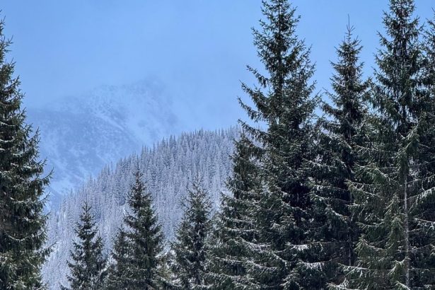 SHMU varuje pred snehovymi zavejmi vichrica na horach