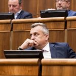 SNS bude tlacit na zrusenie transakcnej dane