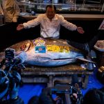 Tuniak modroplutvy sa v Tokiu predal za 273 miliona eur