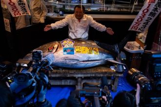 Tuniak modroplutvy sa v Tokiu predal za 273 miliona eur