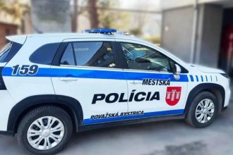 V snehu a mraze leal dva dni Muza zachranila pozornost obyvatele a rychly zasah policie