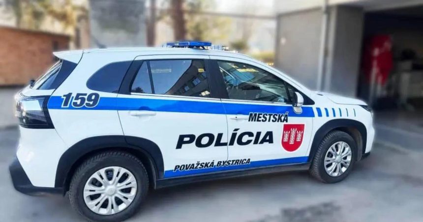 V snehu a mraze leal dva dni Muza zachranila pozornost obyvatele a rychly zasah policie