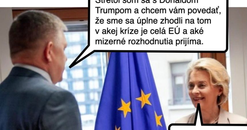 ked zistis ze suhlasis s idiotom