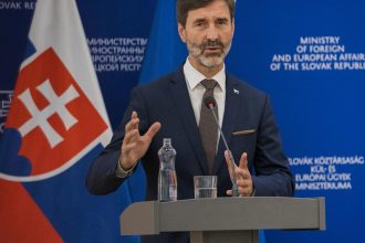 MZV Slovensko bude pozorovatelom v novovznikajucej Rade mieru Blanar sa zucastni na jej prvom zasadnuti