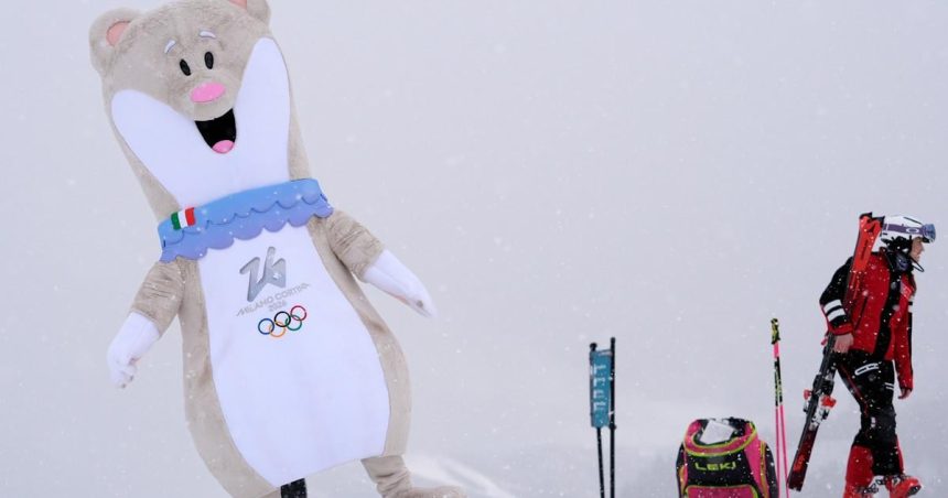 Maskot ZOH 2026 je lasica hranolstaj Preco bola zvolena