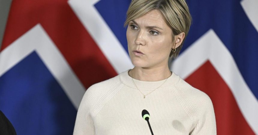 Na Islande sa chysta referendum o vstupe do EU