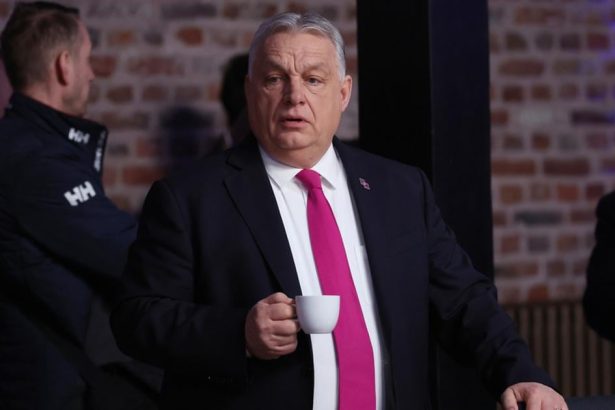 Orbn zvolal Radu energetickej bezpecnosti