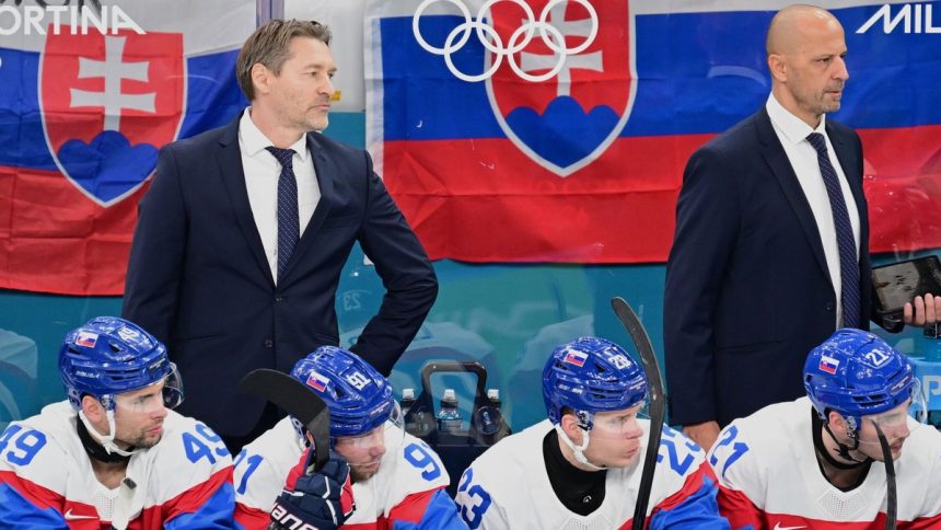 Timovost bojovnost a brankar experti slovensko hra hokej hodny semifinale anketa
