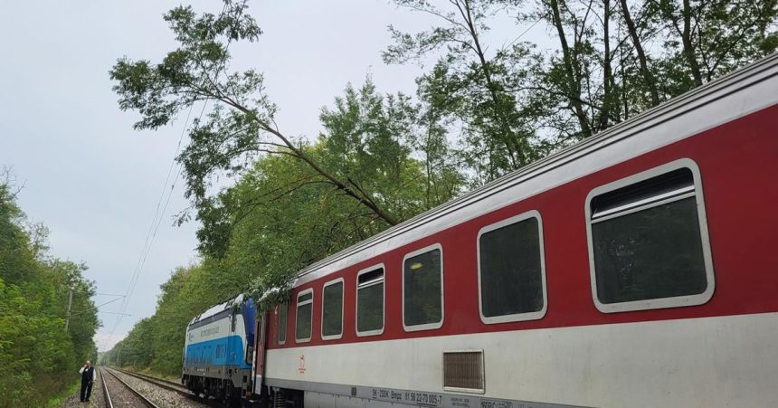 Analytici odporucaju aby sa prioritne budoval usek Sekule pre vysokorychlostnu trat do Ceska