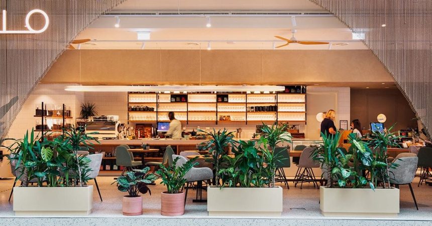 Medusa hasi problemy restauracii v Dubaji Trzby tam klesli o 90 percent