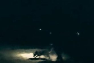 Ukradnute auto nasli v lese sluzobny pes priviedol policajtov priamo k zlodejom