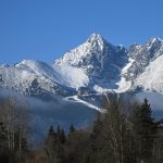 Ustav ekologii lesa navrhuje statnym organom viacero zmien pri zonaciach