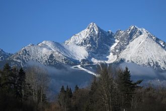 Ustav ekologii lesa navrhuje statnym organom viacero zmien pri zonaciach