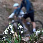 V Nitre bolo kazdy den aspon 15 stupnov Prva polovica marca priniesla nezvycajne teple dni