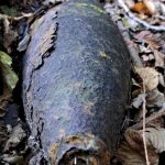 pod buducou dialnicou sa skryvali funkcne granaty zlikviduju ich v trhacej jame