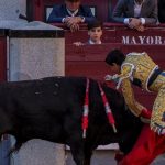 Byk usmrtil v arene v spanielskej Malage byvalho toreadora