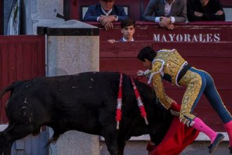 Byk usmrtil v arene v spanielskej Malage byvalho toreadora