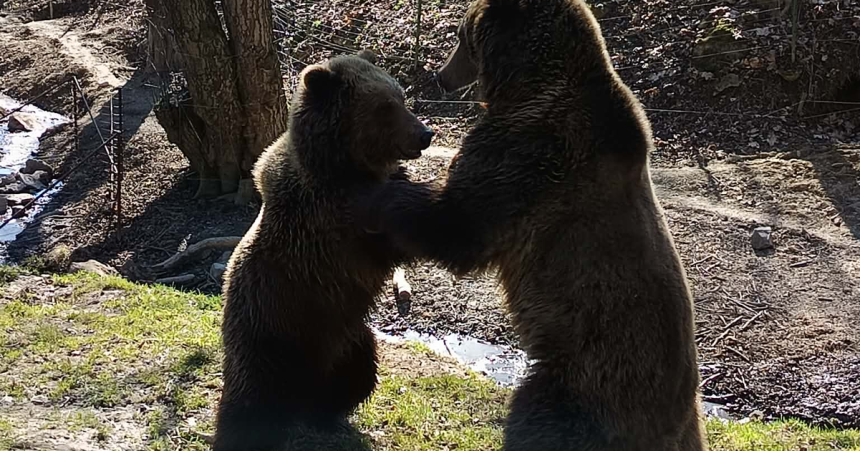 Kosicka zoo startuje jubilejnu sezonu a laka na velkonocny program