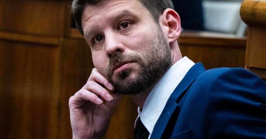 Simecka ako lider PS neplanue skoncit jeho matka prijme zodpovednost ako statutarna