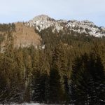 Vlada neschvalila zonaciu narodnych parkov v termine milnika planu obnivy