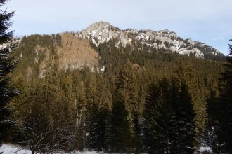 Vlada neschvalila zonaciu narodnych parkov v termine milnika planu obnivy