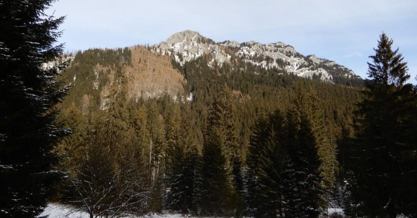 Vlada neschvalila zonaciu narodnych parkov v termine milnika planu obnivy