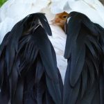 Bojnicka zoo ma novy prirastok rodicia si ho starostlivo strazia expoziciu museli v minulosti ohradit