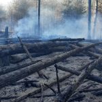 Do likvidacie lesneho poziaru v Ceskom Svajciarsku boli povolani 500 hasici