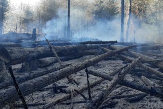 Do likvidacie lesneho poziaru v Ceskom Svajciarsku boli povolani 500 hasici