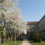 Peniaze urcene na mzdy mali byt pouzite na vykurovanie skoly Na odmenach zamestnancom precerpali tisice eur