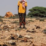 Sucho a vysoke ceny potravin prehlbuju hladomor v Somalsku