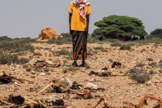 Sucho a vysoke ceny potravin prehlbuju hladomor v Somalsku
