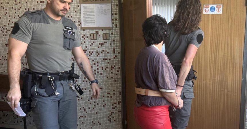 Tinedzera bodla nozom za pokus o vrazdu dostala 10 rokov Chcem ist domov reagovala
