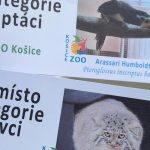 zoologicka zahrada kosice ziskala dve ocenenia na cesko slovenskej sutazi biely slon