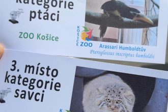 zoologicka zahrada kosice ziskala dve ocenenia na cesko slovenskej sutazi biely slon