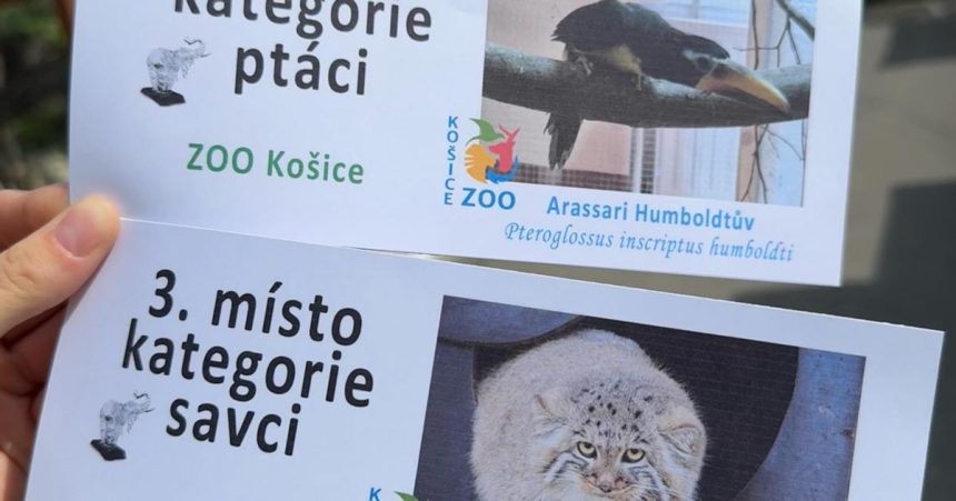 zoologicka zahrada kosice ziskala dve ocenenia na cesko slovenskej sutazi biely slon