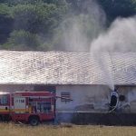 Hasici vodou ochladzovali strechu hangara s tisickami kurciat stovky z nich uhynuli