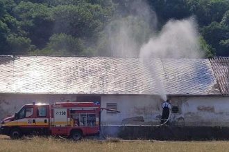 Hasici vodou ochladzovali strechu hangara s tisickami kurciat stovky z nich uhynuli