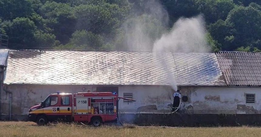 Hasici vodou ochladzovali strechu hangara s tisickami kurciat stovky z nich uhynuli